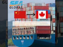 Professional FCL Ocean Freight Services From China To Canada Montreal To Meet Large Volume Shipping Demands