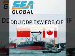Ocean Freight Services From China To Saint John Port Supporting Global Shipping Requirements