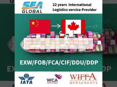 Trusted Ocean Freight Forwarder delivering sea freight forwarding services with focus on cost savings and delivery schedules