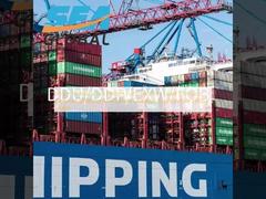 From To Africa Sea Freight Full Container Load Transport Services Offering And Secure Logistics Solutions For Global Trade